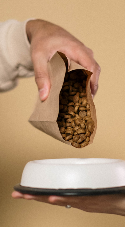 مؤسسة من اجل الغد للتنمية