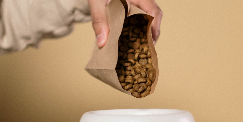 مؤسسة من اجل الغد للتنمية